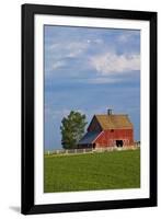 Red Barn in Spring Wheat Field, Washington, USA-Terry Eggers-Framed Photographic Print