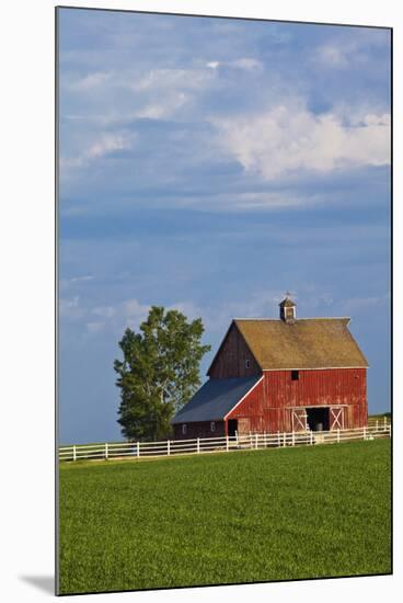 Red Barn in Spring Wheat Field, Washington, USA-Terry Eggers-Mounted Photographic Print