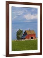 Red Barn in Spring Wheat Field, Washington, USA-Terry Eggers-Framed Photographic Print