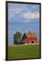 Red Barn in Spring Wheat Field, Washington, USA-Terry Eggers-Framed Premium Photographic Print