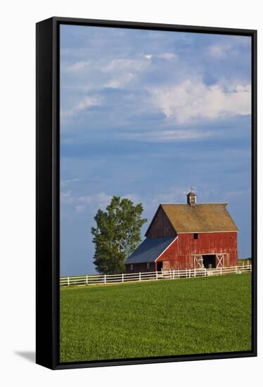 Red Barn in Spring Wheat Field, Washington, USA-Terry Eggers-Framed Stretched Canvas