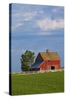 Red Barn in Spring Wheat Field, Washington, USA-Terry Eggers-Stretched Canvas