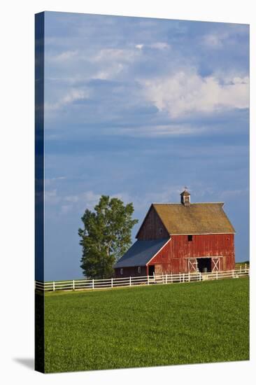 Red Barn in Spring Wheat Field, Washington, USA-Terry Eggers-Stretched Canvas