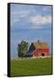 Red Barn in Spring Wheat Field, Washington, USA-Terry Eggers-Framed Stretched Canvas