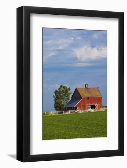 Red Barn in Spring Wheat Field, Washington, USA-Terry Eggers-Framed Photographic Print