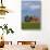 Red Barn in Spring Wheat Field, Washington, USA-Terry Eggers-Stretched Canvas displayed on a wall