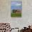 Red Barn in Spring Wheat Field, Washington, USA-Terry Eggers-Stretched Canvas displayed on a wall