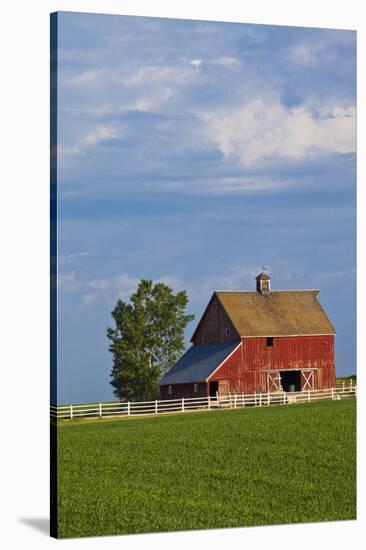 Red Barn in Spring Wheat Field, Washington, USA-Terry Eggers-Stretched Canvas