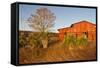 Red Barn in Texas Hill Country, USA-Larry Ditto-Framed Stretched Canvas
