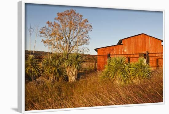 Red Barn in Texas Hill Country, USA-Larry Ditto-Framed Photographic Print