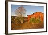 Red Barn in Texas Hill Country, USA-Larry Ditto-Framed Photographic Print