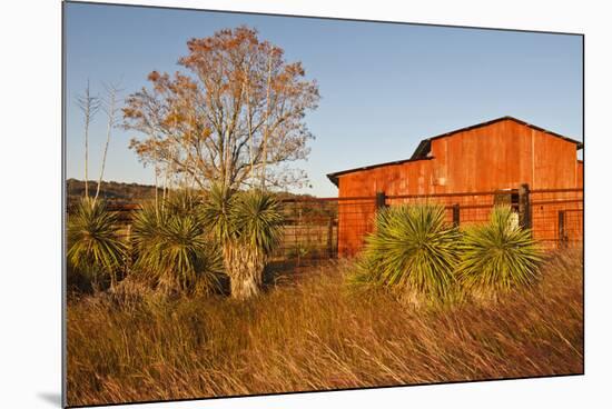 Red Barn in Texas Hill Country, USA-Larry Ditto-Mounted Photographic Print