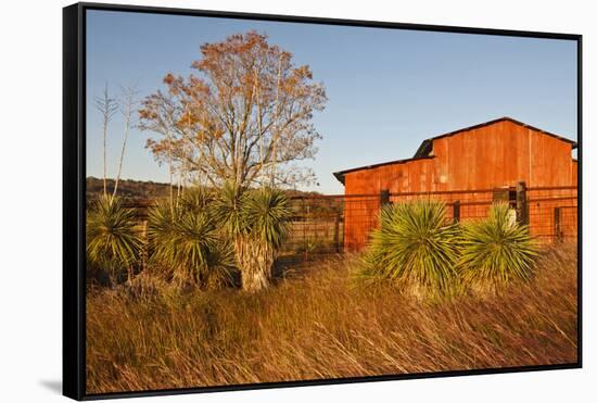 Red Barn in Texas Hill Country, USA-Larry Ditto-Framed Stretched Canvas