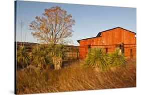 Red Barn in Texas Hill Country, USA-Larry Ditto-Stretched Canvas