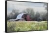 Red Barn in the Fog-Jai Johnson-Framed Stretched Canvas