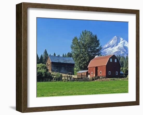 Red Barn in the Hood Valley, Mt Hood, Oregon, USA-Chuck Haney-Framed Premium Photographic Print