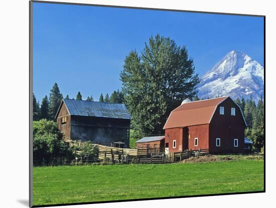 Red Barn in the Hood Valley, Mt Hood, Oregon, USA-Chuck Haney-Mounted Premium Photographic Print