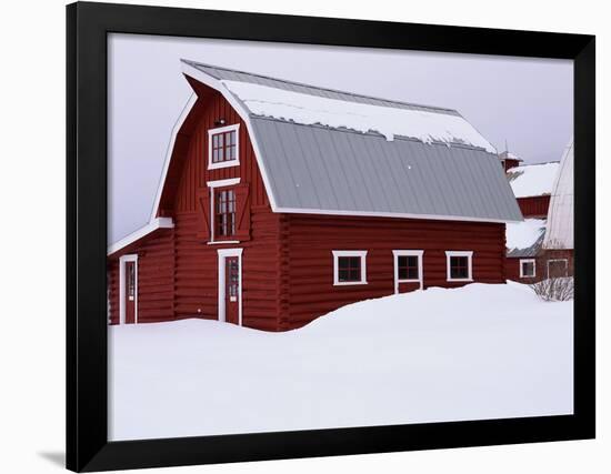 Red Barn in the Snow-James Randklev-Framed Photographic Print