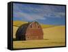 Red Barn in Wheat Field-Darrell Gulin-Framed Stretched Canvas