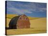 Red Barn in Wheat Field-Darrell Gulin-Stretched Canvas