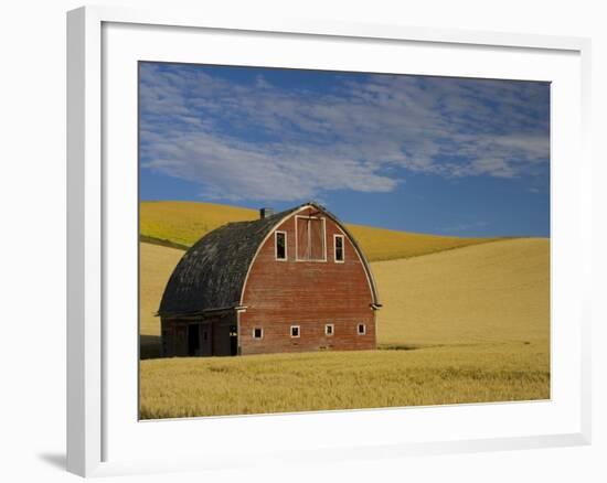 Red Barn in Wheat Field-Darrell Gulin-Framed Photographic Print