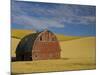 Red Barn in Wheat Field-Darrell Gulin-Mounted Photographic Print