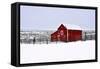 Red Barn in Winter-Amanda Lee Smith-Framed Stretched Canvas