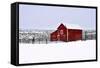 Red Barn in Winter-Amanda Lee Smith-Framed Stretched Canvas