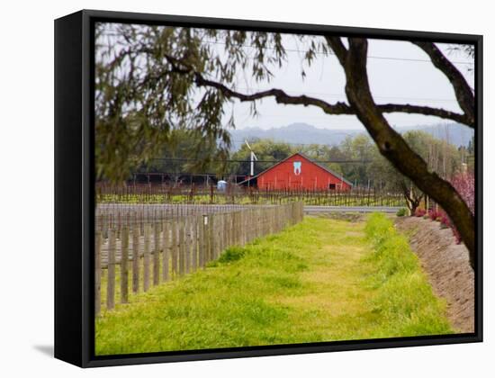 Red Barn near Vineyards, Napa Valley, California, USA-Julie Eggers-Framed Stretched Canvas