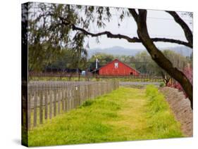 Red Barn near Vineyards, Napa Valley, California, USA-Julie Eggers-Stretched Canvas