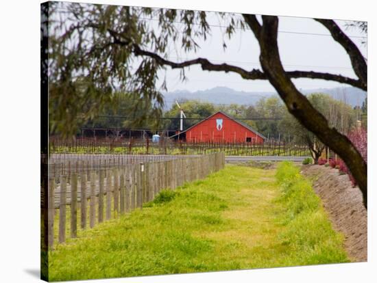 Red Barn near Vineyards, Napa Valley, California, USA-Julie Eggers-Stretched Canvas