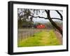 Red Barn near Vineyards, Napa Valley, California, USA-Julie Eggers-Framed Photographic Print