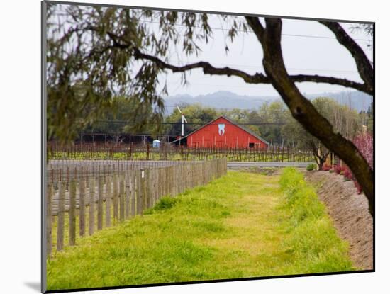 Red Barn near Vineyards, Napa Valley, California, USA-Julie Eggers-Mounted Photographic Print