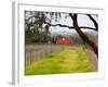 Red Barn near Vineyards, Napa Valley, California, USA-Julie Eggers-Framed Photographic Print