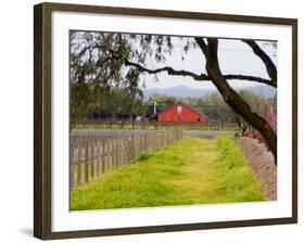 Red Barn near Vineyards, Napa Valley, California, USA-Julie Eggers-Framed Photographic Print