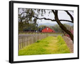 Red Barn near Vineyards, Napa Valley, California, USA-Julie Eggers-Framed Photographic Print