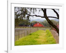 Red Barn near Vineyards, Napa Valley, California, USA-Julie Eggers-Framed Photographic Print