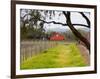 Red Barn near Vineyards, Napa Valley, California, USA-Julie Eggers-Framed Photographic Print