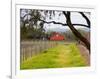 Red Barn near Vineyards, Napa Valley, California, USA-Julie Eggers-Framed Photographic Print