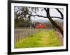 Red Barn near Vineyards, Napa Valley, California, USA-Julie Eggers-Framed Photographic Print