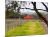 Red Barn near Vineyards, Napa Valley, California, USA-Julie Eggers-Mounted Photographic Print