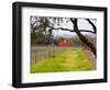 Red Barn near Vineyards, Napa Valley, California, USA-Julie Eggers-Framed Photographic Print