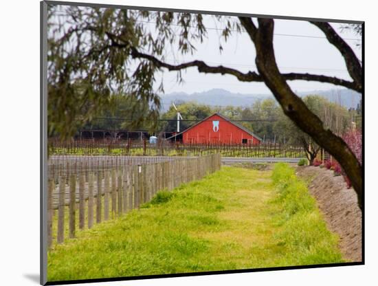 Red Barn near Vineyards, Napa Valley, California, USA-Julie Eggers-Mounted Photographic Print