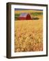 Red Barn on Rolling Hills-Stuart Westmorland-Framed Photographic Print