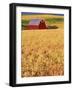 Red Barn on Rolling Hills-Stuart Westmorland-Framed Photographic Print