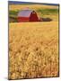 Red Barn on Rolling Hills-Stuart Westmorland-Mounted Photographic Print