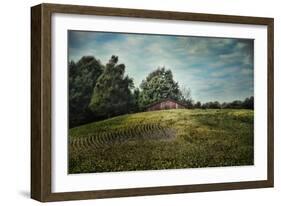 Red Barn on the Hill-Jai Johnson-Framed Giclee Print