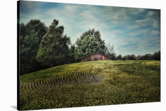 Red Barn on the Hill-Jai Johnson-Stretched Canvas