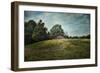 Red Barn on the Hill-Jai Johnson-Framed Premium Giclee Print