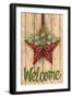 Red Barn Star Spring Welcome Green 3-Melinda Hipsher-Framed Giclee Print